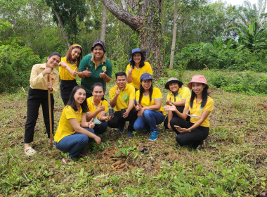 บุคลากรสำนักงานสหกรณ์จังหวัดสุราษฎร์ธานี ... พารามิเตอร์รูปภาพ 30