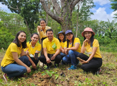 บุคลากรสำนักงานสหกรณ์จังหวัดสุราษฎร์ธานี ... พารามิเตอร์รูปภาพ 31