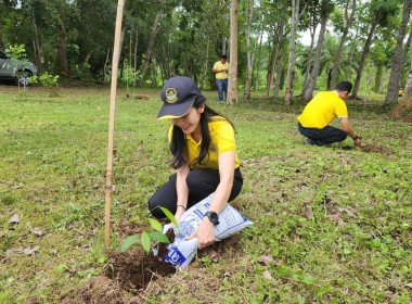 บุคลากรสำนักงานสหกรณ์จังหวัดสุราษฎร์ธานี ... พารามิเตอร์รูปภาพ 49