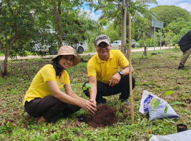 บุคลากรสำนักงานสหกรณ์จังหวัดสุราษฎร์ธานี ... พารามิเตอร์รูปภาพ 68