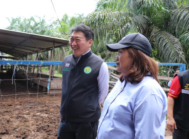 อธิบดีกรมส่งเสริมสหกรณ์ พร้อมด้วย สหกรณ์จังหวัดสุราษฎร์ธานี ... พารามิเตอร์รูปภาพ 61