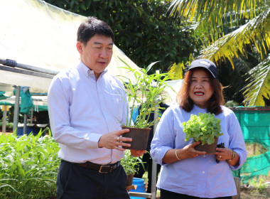 อธิบดีกรมส่งเสริมสหกรณ์ พร้อมด้วย สหกรณ์จังหวัดสุราษฎร์ธานี ... พารามิเตอร์รูปภาพ 39