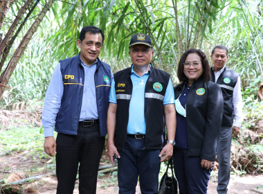 อธิบดีกรมส่งเสริมสหกรณ์ พร้อมด้วย สหกรณ์จังหวัดสุราษฎร์ธานี ... พารามิเตอร์รูปภาพ 53