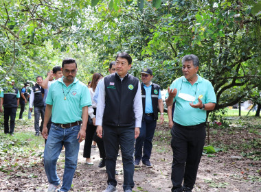 อธิบดีกรมส่งเสริมสหกรณ์ พร้อมด้วย สหกรณ์จังหวัดสุราษฎร์ธานี ... พารามิเตอร์รูปภาพ 10