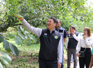 อธิบดีกรมส่งเสริมสหกรณ์ พร้อมด้วย สหกรณ์จังหวัดสุราษฎร์ธานี ... พารามิเตอร์รูปภาพ 22