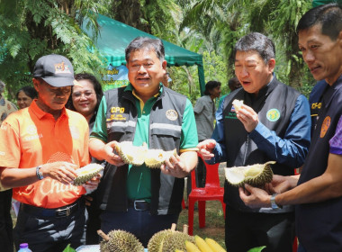 อธิบดีกรมส่งเสริมสหกรณ์ พร้อมด้วย สหกรณ์จังหวัดสุราษฎร์ธานี ... พารามิเตอร์รูปภาพ 11