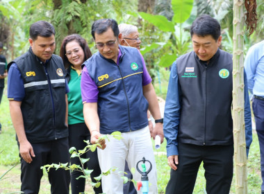 อธิบดีกรมส่งเสริมสหกรณ์ พร้อมด้วย สหกรณ์จังหวัดสุราษฎร์ธานี ... พารามิเตอร์รูปภาพ 14