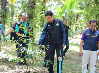 อธิบดีกรมส่งเสริมสหกรณ์ พร้อมด้วย สหกรณ์จังหวัดสุราษฎร์ธานี ... พารามิเตอร์รูปภาพ 101