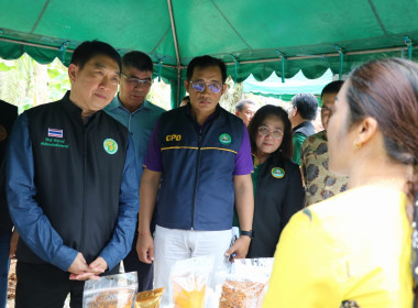 อธิบดีกรมส่งเสริมสหกรณ์ พร้อมด้วย สหกรณ์จังหวัดสุราษฎร์ธานี ... พารามิเตอร์รูปภาพ 117