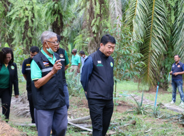 อธิบดีกรมส่งเสริมสหกรณ์ พร้อมด้วย สหกรณ์จังหวัดสุราษฎร์ธานี ... พารามิเตอร์รูปภาพ 135